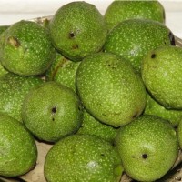 Вытяжка из зеленых грецких орехов
